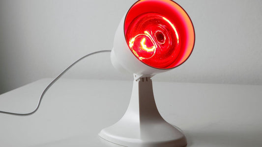 Rotlichtlampe für Hunde